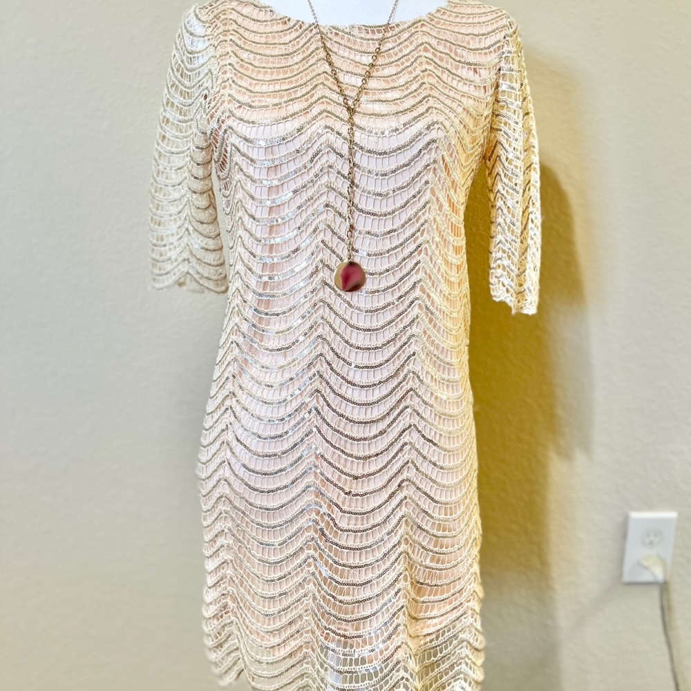 NWOT FLAPPER DRESS